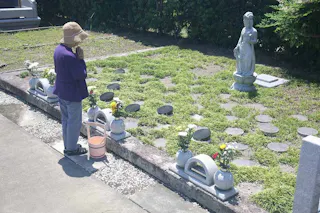 妙光寺 樹木葬墓地