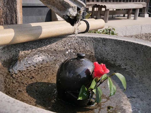 観音寺さくら廟