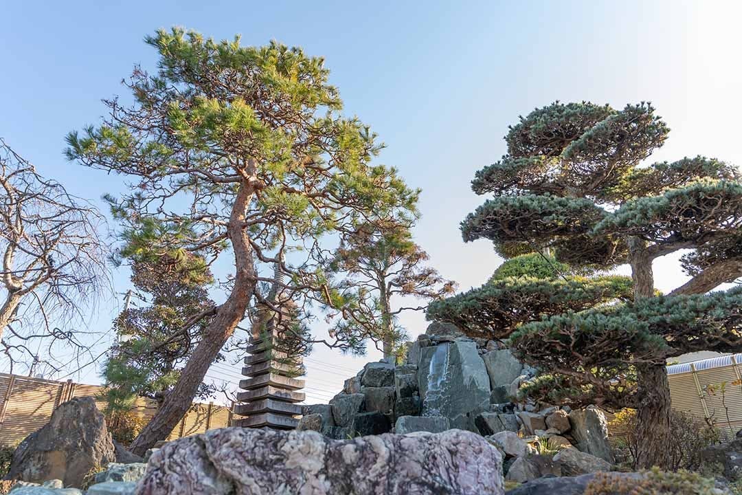 定泰寺樹木葬「縁」
