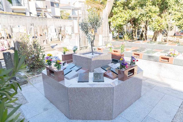 小さな森の樹木葬 上野