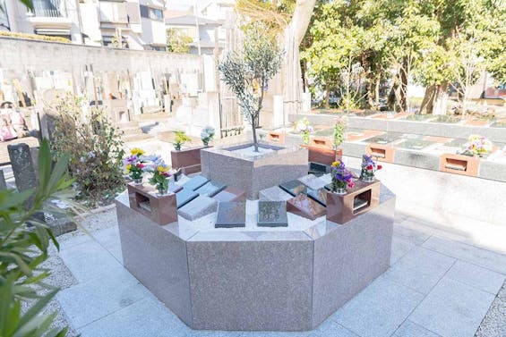 小さな森の樹木葬 上野