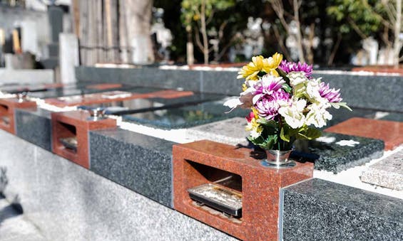 小さな森の樹木葬 上野