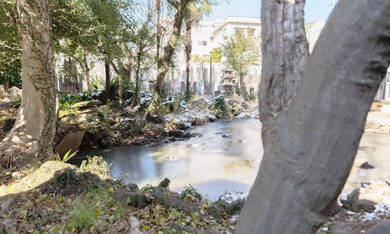 小さな森の樹木葬 上野