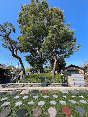 実正寺樹木葬「光照樹園」
