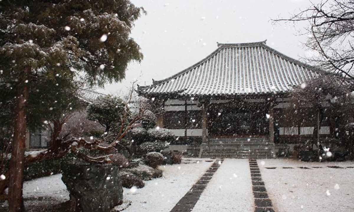 実正寺樹木葬「光照樹園」