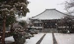 実正寺樹木葬「光照樹園」