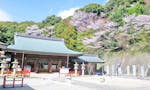 京都霊山護國神社 納骨堂「奥津城」