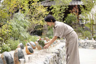 つむぎの森・幸國寺樹木葬