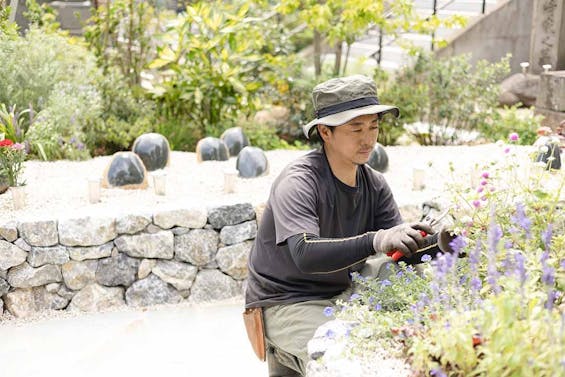 つむぎの森・幸國寺樹木葬