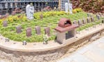 常清寺 永代供養墓・樹木葬 永代供養付樹木葬「自然想 やすらぎの風」