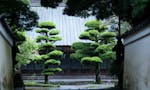 極楽寺 墓地