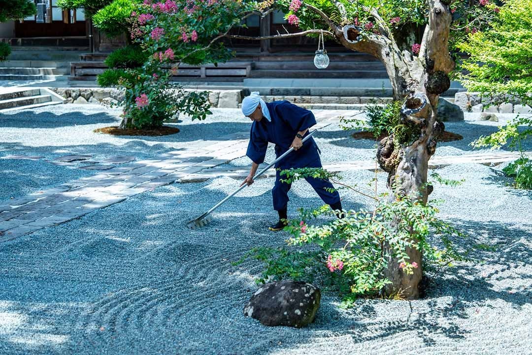 極楽寺 墓地