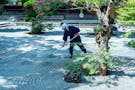 極楽寺 墓地