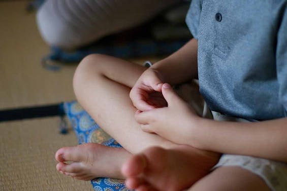 極楽寺 墓地 納骨堂