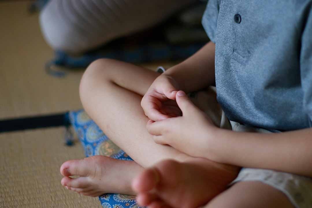 極楽寺 墓地
