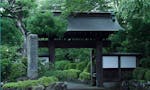 極楽寺 墓地