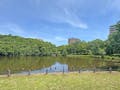 横浜やまた樹木葬墓地 近くの徳生公園