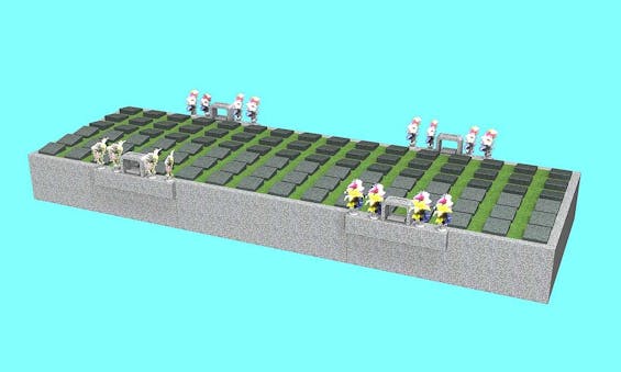 朝日墓苑 樹木葬 永代供養墓