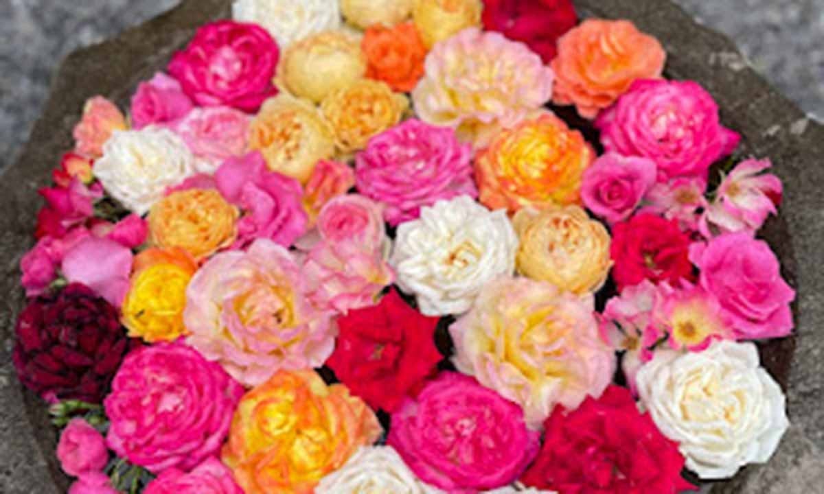 朝日墓苑　樹木葬　永代供養墓 花手水