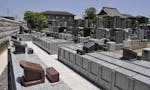 迎盛院「桔梗の郷」 桔梗の郷