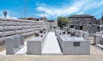 迎盛院「桔梗の郷」 桔梗の郷