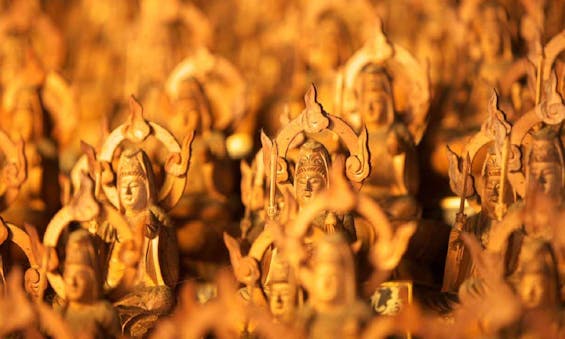 観真寺 永代供養墓・樹木葬