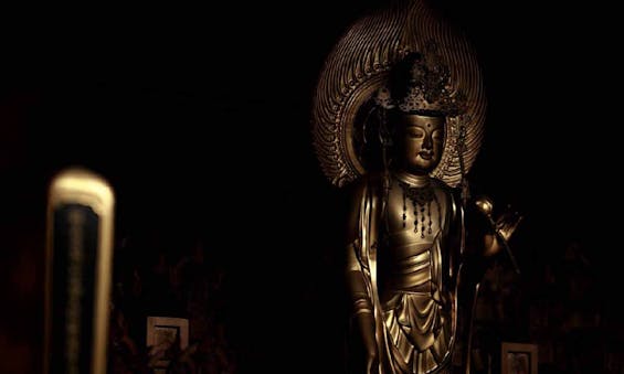 観真寺 永代供養墓・樹木葬