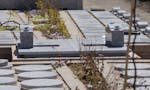 花もみじ 須坂