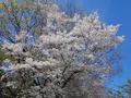 メモリーガーデンさくらの園霊園