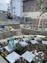 仙台五橋樹木葬