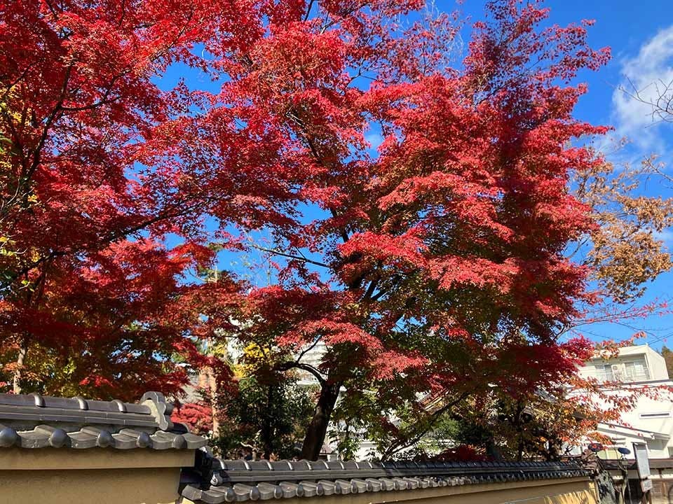 仙岳院（青葉区東照宮）　百年の杜　個別永代納骨堂の画像