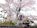 仙岳院（青葉区東照宮）　百年の杜　個別永代納骨堂
