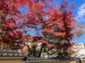 仙岳院（青葉区東照宮）　百年の杜　個別永代納骨堂