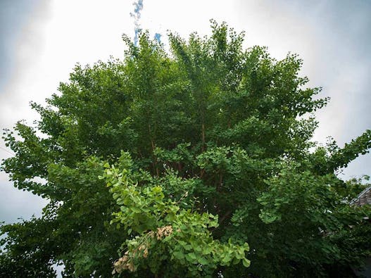 会津若松霊園 威徳院