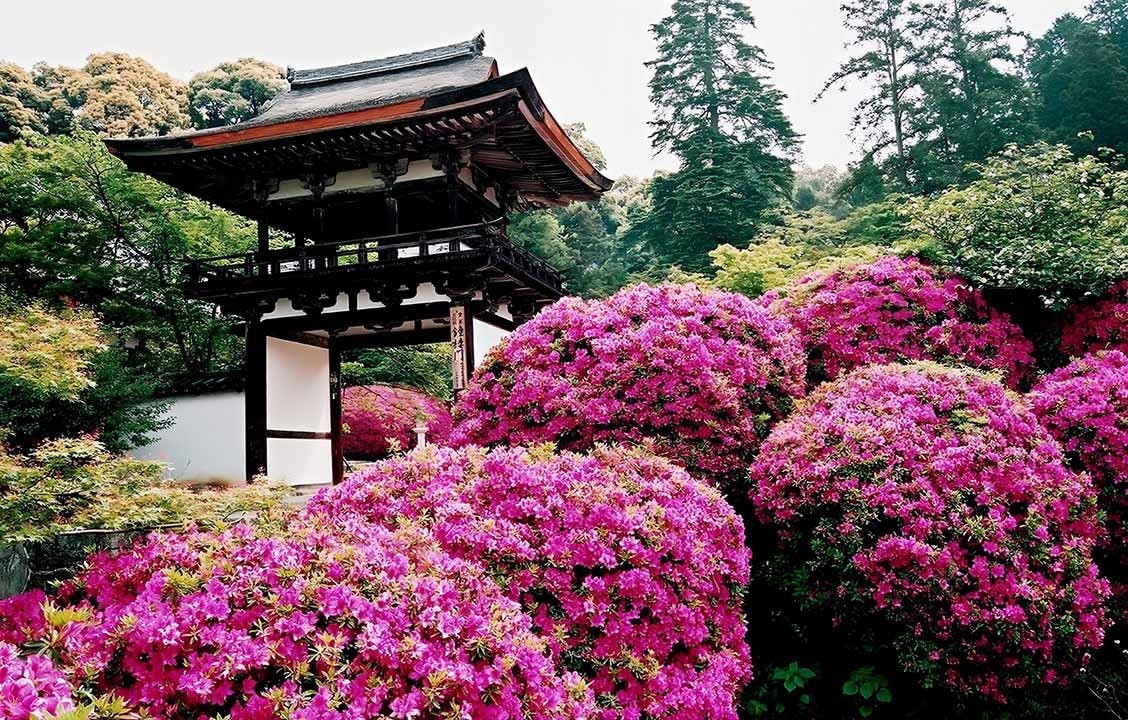 長岳寺 のうこつぼ