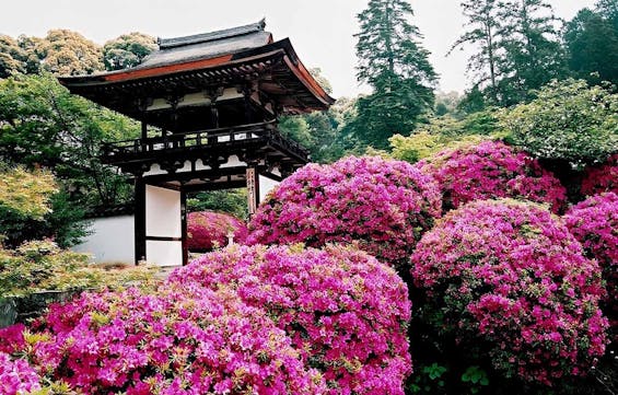 長岳寺 のうこつぼ