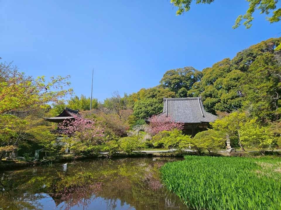 長岳寺 のうこつぼ