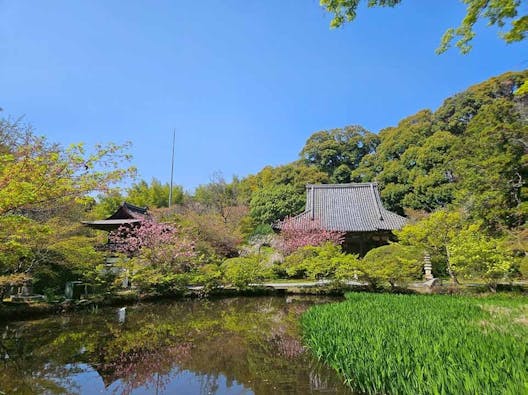 長岳寺 のうこつぼ