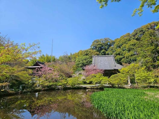 長岳寺 のうこつぼ