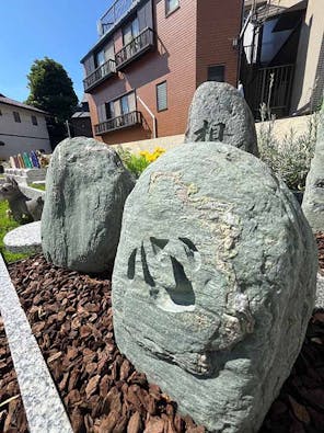 品川こもれびの樹 Ciel-シエール-