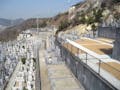 竜山公園墓地　樹木葬　みはらしの丘 竜山公園墓地