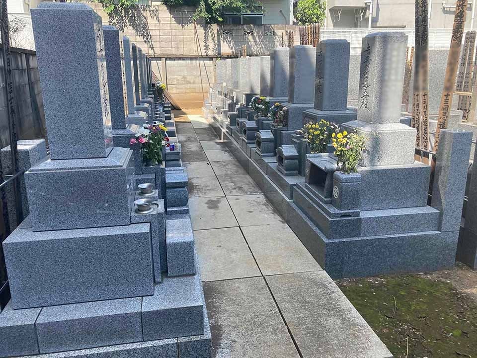 樹木葬「新宿アルベリ」