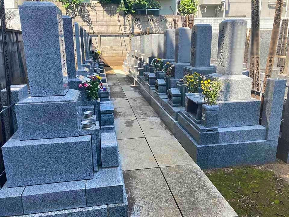 樹木葬「新宿アルベリ」