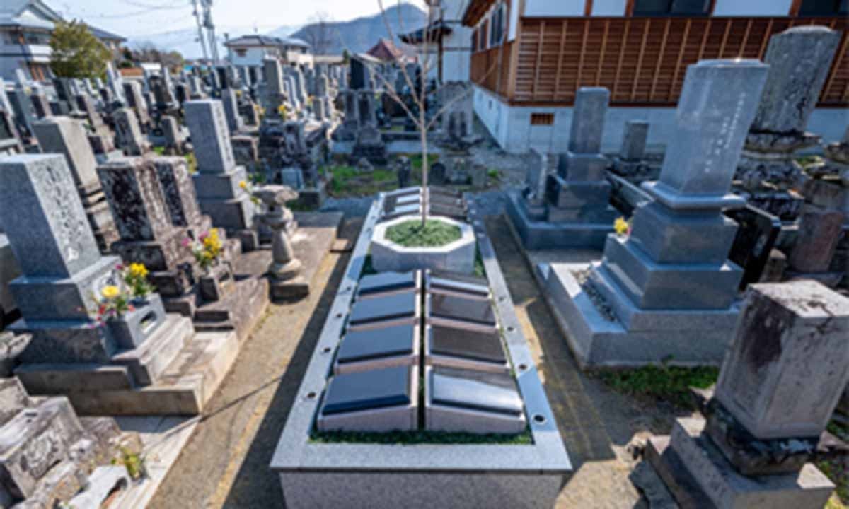 「わかほ善法寺」樹木葬墓苑