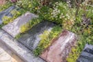青葉台庭苑 1～4名用の【安】