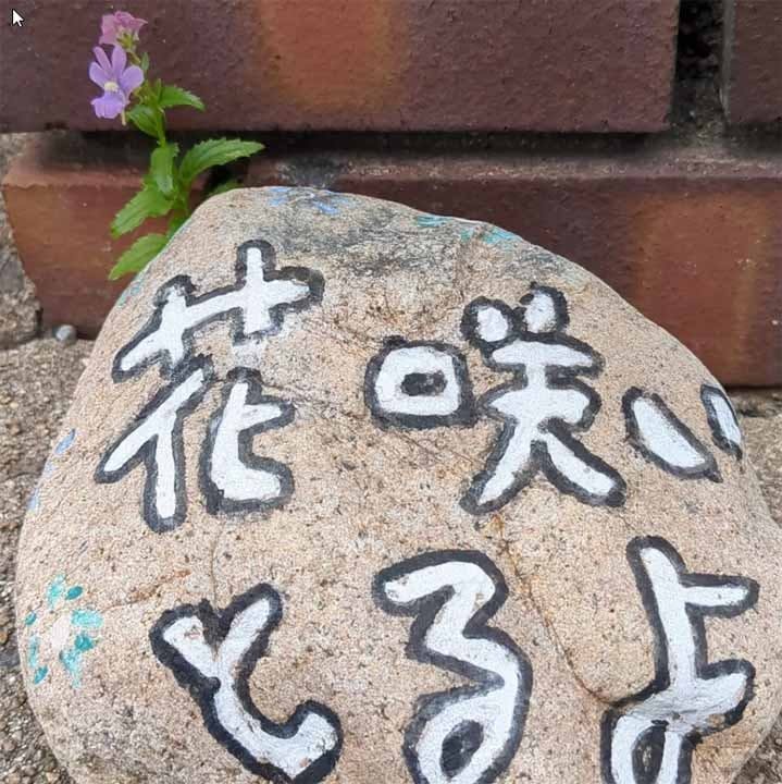一華寺　永代供養墓・永代供養樹木葬 境内風景