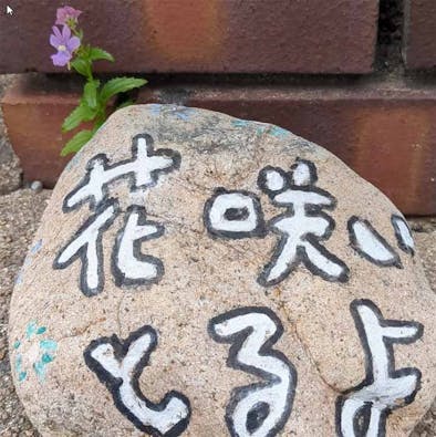 一華寺 永代供養墓・永代供養樹木葬