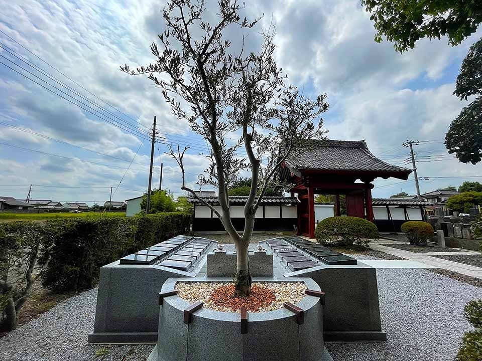 金剛院 墓地