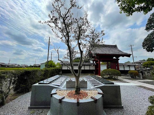 加須市騎西 金剛院 樹木葬