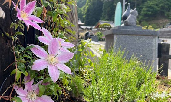 一関樹木葬かわさき